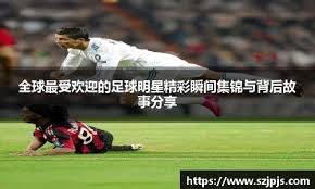 已内化为